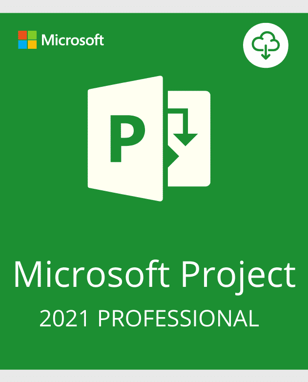 Project-Professional-2021-1